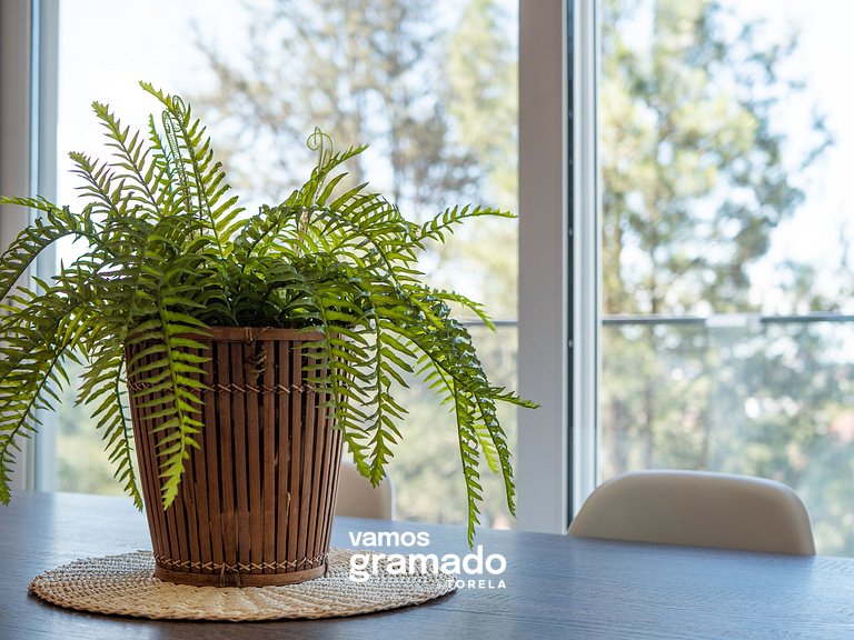 Alpes da Montanha 501 - Apartamento em Gramado