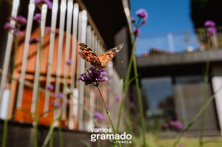 Refúgio Vale 03 - Suíte Contemporânea Gramado